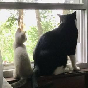 Meet your Posher, Tammy